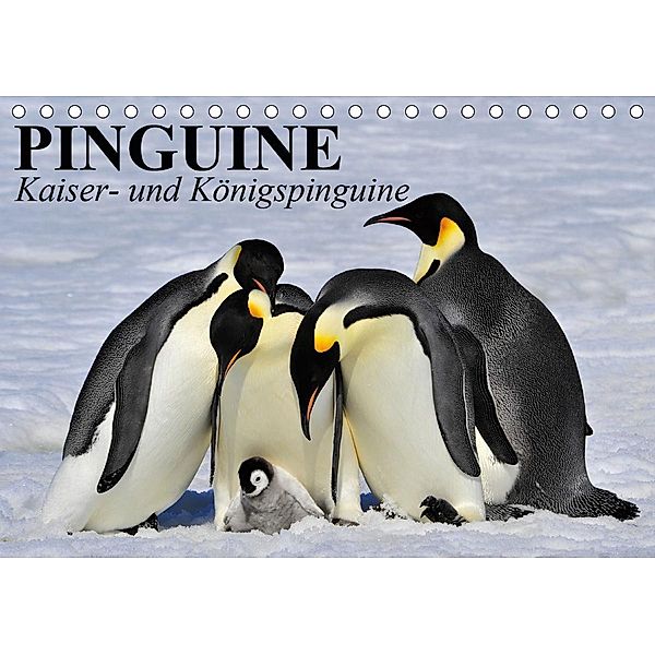Pinguine - Kaiser- und Königspinguine (Tischkalender 2021 DIN A5 quer), Elisabeth Stanzer