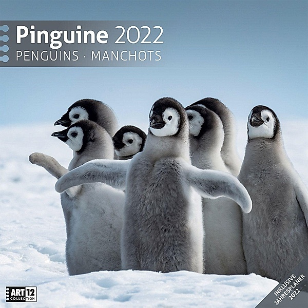 Pinguine Kalender 2022 - 30x30