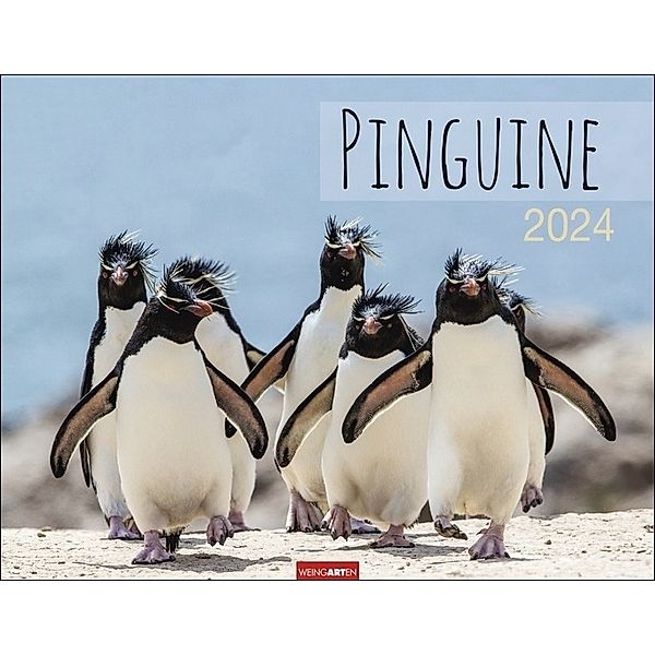 Pinguine Kalender 2024. Wand-Kalender mit Kaiser-, Adelie-, Zügel- und Felsenpinguinen. Großer Wandkalender für Tierfreunde. Von namhaften Fotografen gestalteter Naturkalender. Querformat 44x34 cm, Jean-Louis Klein, Marie-Luce Hubert