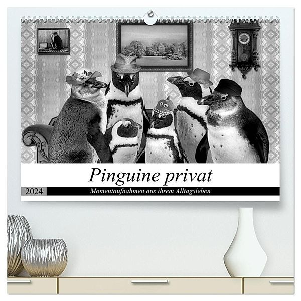 Pinguine privat (hochwertiger Premium Wandkalender 2024 DIN A2 quer), Kunstdruck in Hochglanz, Garrulus glandarius