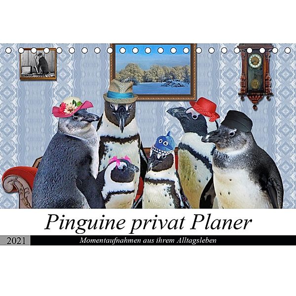 Pinguine privat Planer (Tischkalender 2021 DIN A5 quer), Garrulus glandarius