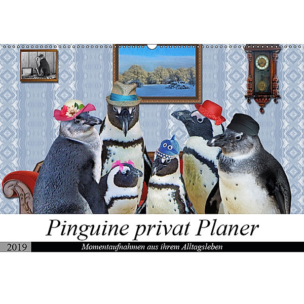 Pinguine privat Planer (Wandkalender 2019 DIN A2 quer), Garrulus glandarius