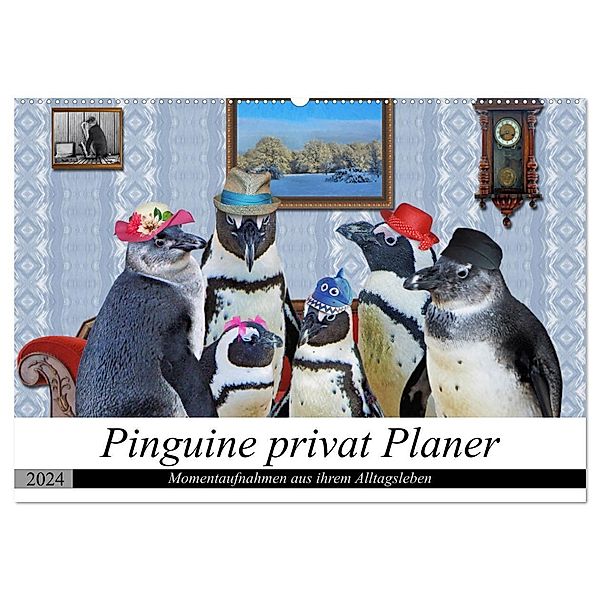 Pinguine privat Planer (Wandkalender 2024 DIN A2 quer), CALVENDO Monatskalender, Garrulus glandarius