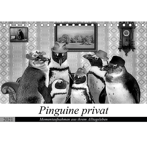 Pinguine privat (Tischkalender 2021 DIN A5 quer), Garrulus glandarius