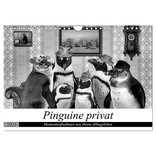 Pinguine privat (Wandkalender 2025 DIN A4 quer), CALVENDO Monatskalender, Calvendo, Garrulus glandarius