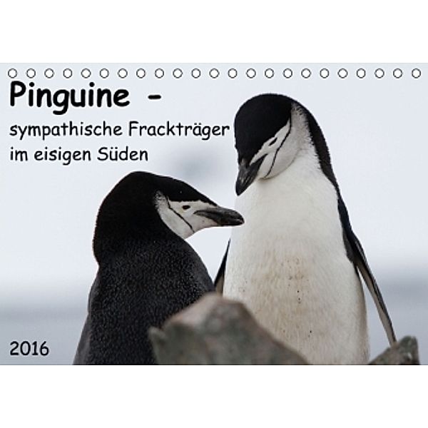 Pinguine - sympathische Frackträger im eisigen Süden (Tischkalender 2016 DIN A5 quer), Anna-Barbara Utelli