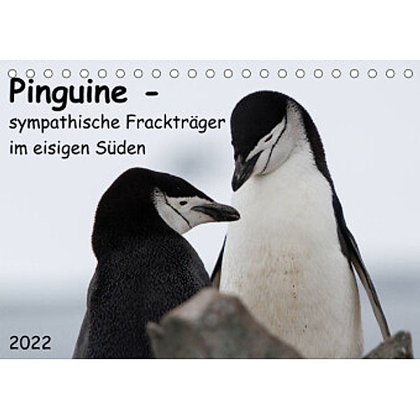 Pinguine - sympathische Frackträger im eisigen Süden (Tischkalender 2022 DIN A5 quer), Anna-Barbara Utelli