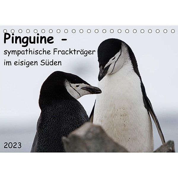 Pinguine - sympathische Frackträger im eisigen Süden (Tischkalender 2023 DIN A5 quer), Anna-Barbara Utelli