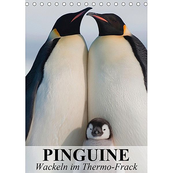 Pinguine - Wackeln im Thermo-Frack (Tischkalender 2021 DIN A5 hoch), Elisabeth Stanzer