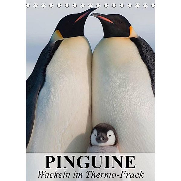 Pinguine - Wackeln im Thermo-Frack (Tischkalender 2023 DIN A5 hoch), Elisabeth Stanzer
