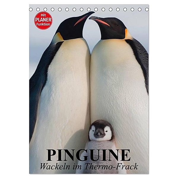 Pinguine. Wackeln im Thermo-Frack (Tischkalender 2024 DIN A5 hoch), CALVENDO Monatskalender, Elisabeth Stanzer