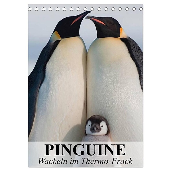 Pinguine - Wackeln im Thermo-Frack (Tischkalender 2024 DIN A5 hoch), CALVENDO Monatskalender, Elisabeth Stanzer