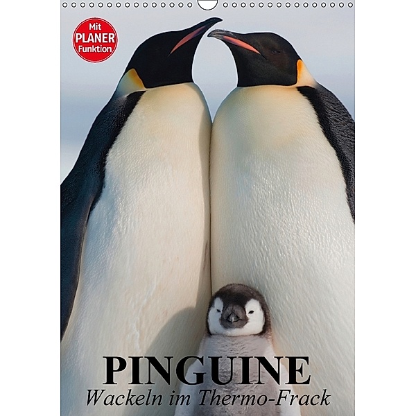 Pinguine. Wackeln im Thermo-Frack (Wandkalender 2018 DIN A3 hoch), Elisabeth Stanzer