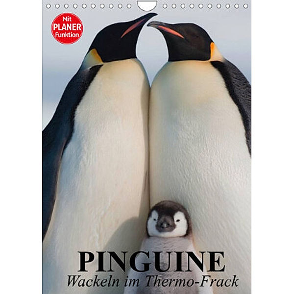 Pinguine. Wackeln im Thermo-Frack (Wandkalender 2022 DIN A4 hoch), Elisabeth Stanzer