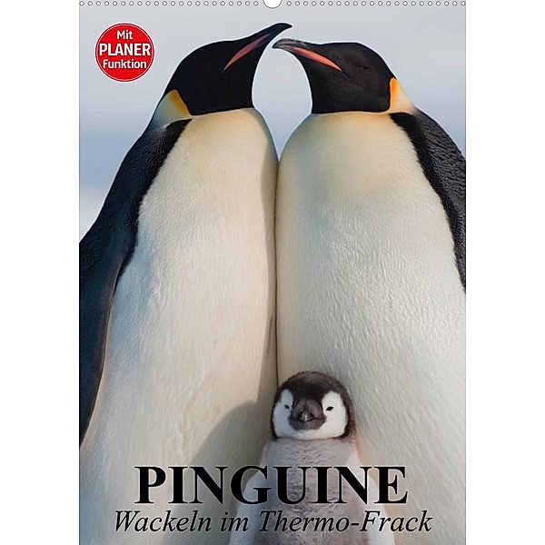Pinguine. Wackeln im Thermo-Frack (Wandkalender 2023 DIN A2 hoch), Elisabeth Stanzer