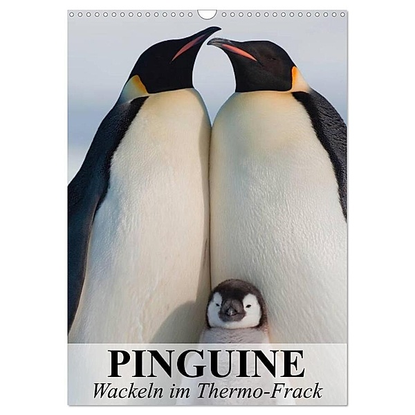 Pinguine - Wackeln im Thermo-Frack (Wandkalender 2024 DIN A3 hoch), CALVENDO Monatskalender, Elisabeth Stanzer