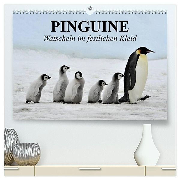 Pinguine - Watscheln im festlichen Kleid (hochwertiger Premium Wandkalender 2025 DIN A2 quer), Kunstdruck in Hochglanz, Calvendo, Elisabeth Stanzer