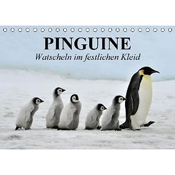 Pinguine - Watscheln im festlichen Kleid (Tischkalender 2015 DIN A5 quer), Elisabeth Stanzer