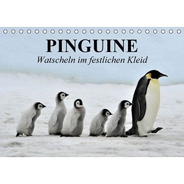 Pinguine - Watscheln im festlichen Kleid (Tischkalender 2016 DIN A5 quer), Elisabeth Stanzer