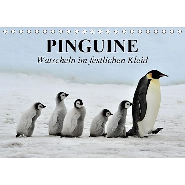 Pinguine - Watscheln im festlichen Kleid (Tischkalender 2017 DIN A5 quer), Elisabeth Stanzer