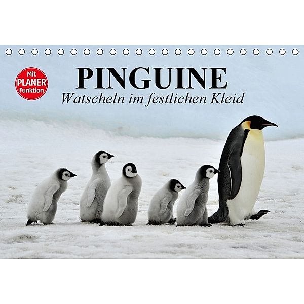 Pinguine - Watscheln im festlichen Kleid (Tischkalender 2018 DIN A5 quer) Dieser erfolgreiche Kalender wurde dieses Jahr, Elisabeth Stanzer