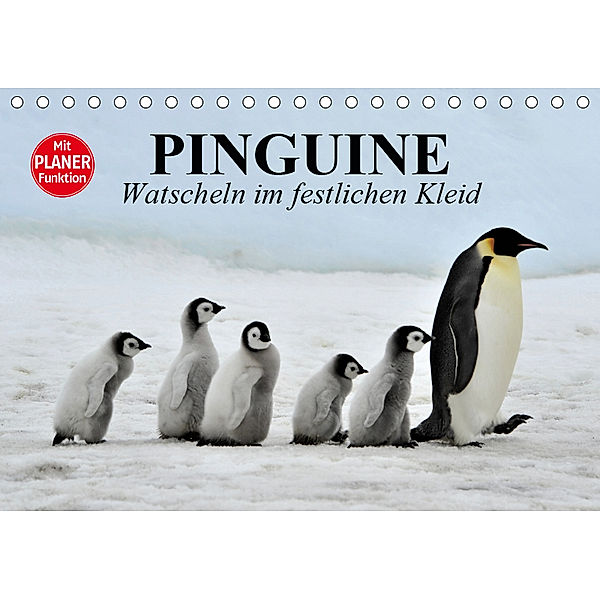 Pinguine - Watscheln im festlichen Kleid (Tischkalender 2019 DIN A5 quer), Elisabeth Stanzer
