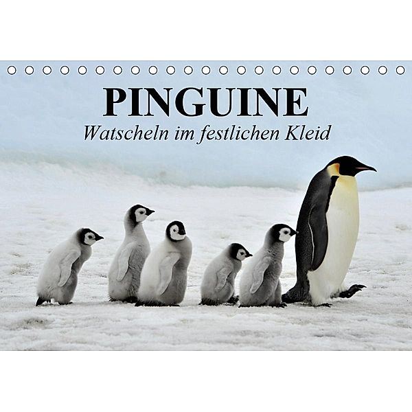 Pinguine - Watscheln im festlichen Kleid (Tischkalender 2020 DIN A5 quer), Elisabeth Stanzer