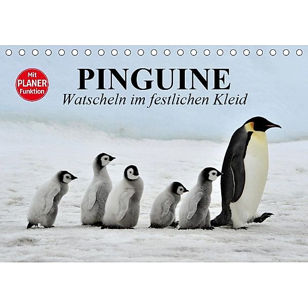 Pinguine - Watscheln im festlichen Kleid (Tischkalender 2021 DIN A5 quer), Elisabeth Stanzer