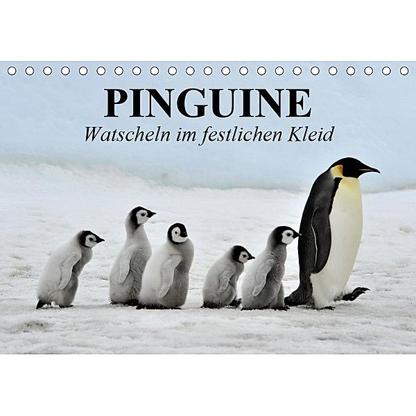 Pinguine - Watscheln im festlichen Kleid (Tischkalender 2021 DIN A5 quer), Elisabeth Stanzer