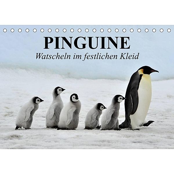 Pinguine - Watscheln im festlichen Kleid (Tischkalender 2023 DIN A5 quer), Elisabeth Stanzer