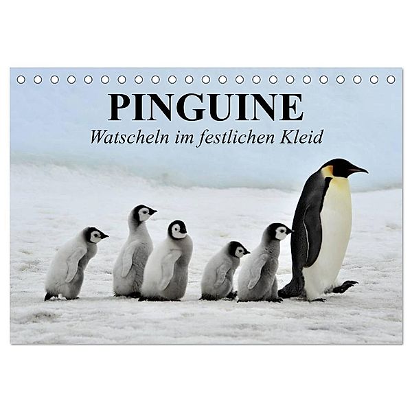 Pinguine - Watscheln im festlichen Kleid (Tischkalender 2024 DIN A5 quer), CALVENDO Monatskalender, Elisabeth Stanzer