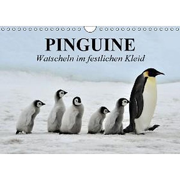 Pinguine - Watscheln im festlichen Kleid (Wandkalender 2015 DIN A4 quer), Elisabeth Stanzer