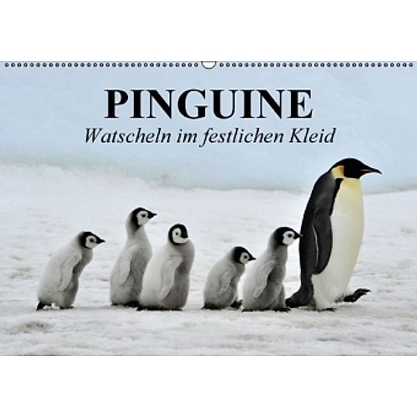 Pinguine - Watscheln im festlichen Kleid (Wandkalender 2016 DIN A2 quer), Elisabeth Stanzer