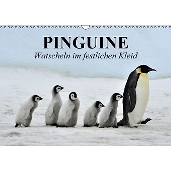 Pinguine - Watscheln im festlichen Kleid (Wandkalender 2016 DIN A3 quer), Elisabeth Stanzer