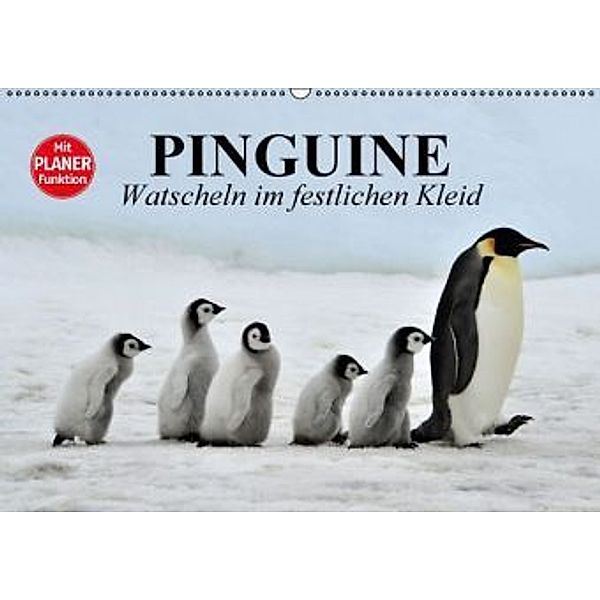 Pinguine - Watscheln im festlichen Kleid (Wandkalender 2016 DIN A2 quer), Elisabeth Stanzer