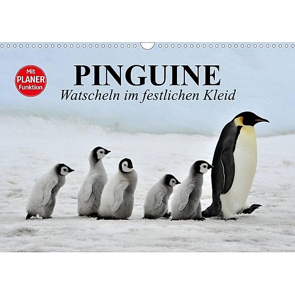 Pinguine - Watscheln im festlichen Kleid (Wandkalender 2023 DIN A3 quer), Elisabeth Stanzer