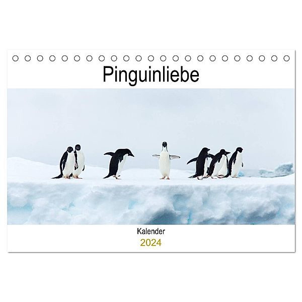 Pinguinliebe (Tischkalender 2024 DIN A5 quer), CALVENDO Monatskalender, Same