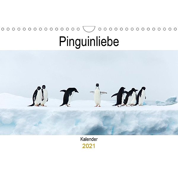Pinguinliebe (Wandkalender 2021 DIN A4 quer), Same