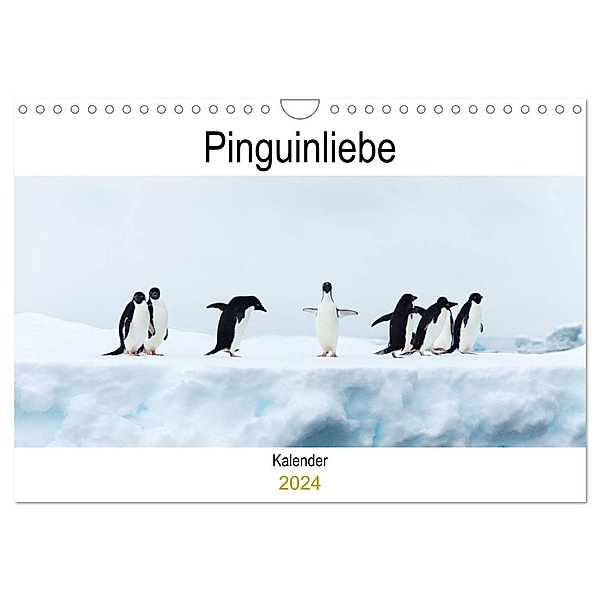 Pinguinliebe (Wandkalender 2024 DIN A4 quer), CALVENDO Monatskalender, Same
