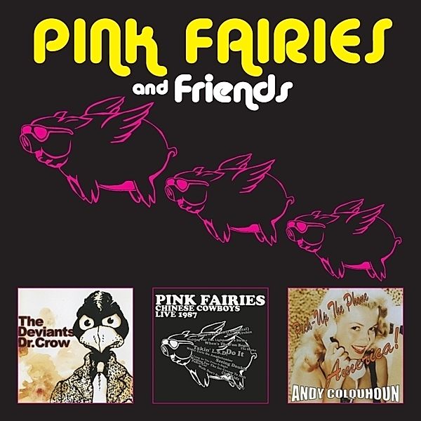 Pink Fairies And Friends, Pink Fairies