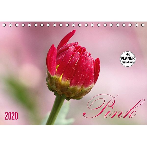 Pink (Tischkalender 2020 DIN A5 quer)