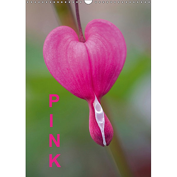 Pink (Wandkalender 2019 DIN A3 hoch), Kristin Möller