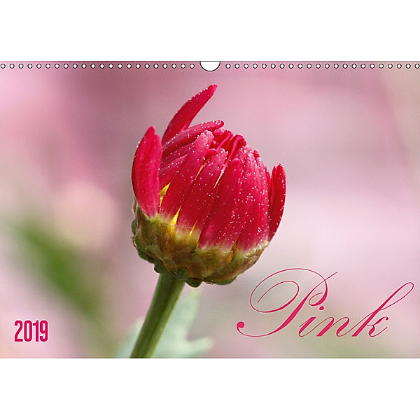 Pink (Wandkalender 2019 DIN A3 quer)