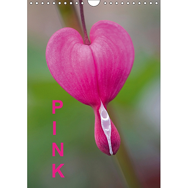 Pink (Wandkalender 2019 DIN A4 hoch), Kristin Möller