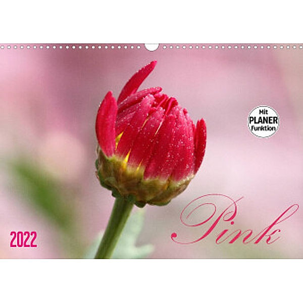 Pink (Wandkalender 2022 DIN A3 quer), SchnelleWelten