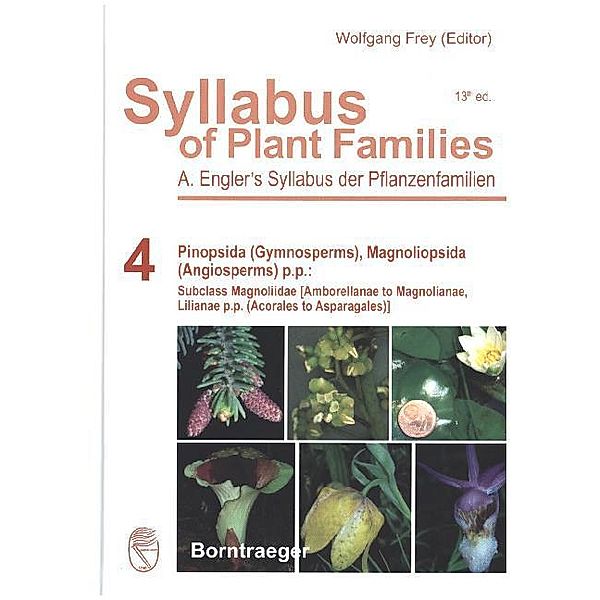 Pinopsida (Gynosperms) Magnoliopsida (Angiosperms) p.p., Adolf Engler
