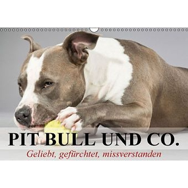 Pit Bull und Co. - Geliebt, gefürchtet, missverstanden (Wandkalender 2015 DIN A3 quer), Elisabeth Stanzer