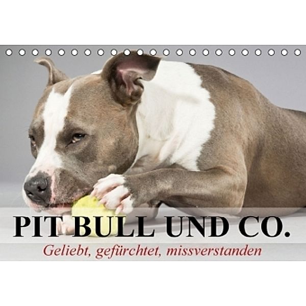 Pit Bull und Co. - Geliebt, gefürchtet, missverstanden (Tischkalender 2016 DIN A5 quer), Elisabeth Stanzer