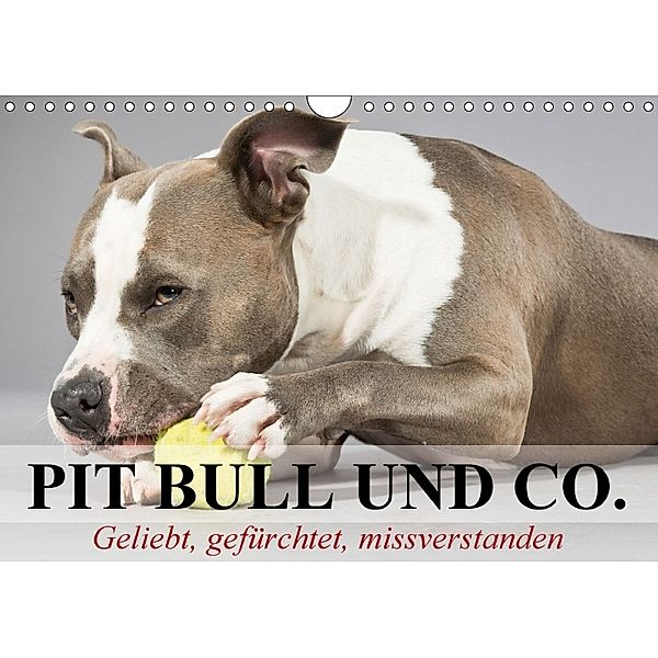 Pit Bull und Co. - Geliebt, gefürchtet, missverstanden (Wandkalender 2018 DIN A4 quer), Elisabeth Stanzer