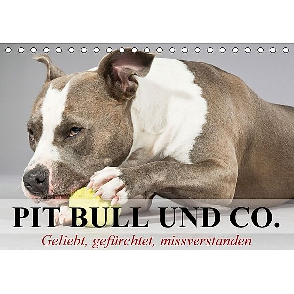 Pit Bull und Co. - Geliebt, gefürchtet, missverstanden (Tischkalender 2018 DIN A5 quer), Elisabeth Stanzer